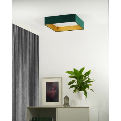 Brilagi - Dimmbare LED-Deckenleuchte VELVET SQUARE LED/24W/230V 3000/4000/6500K + Fernbedienung grün