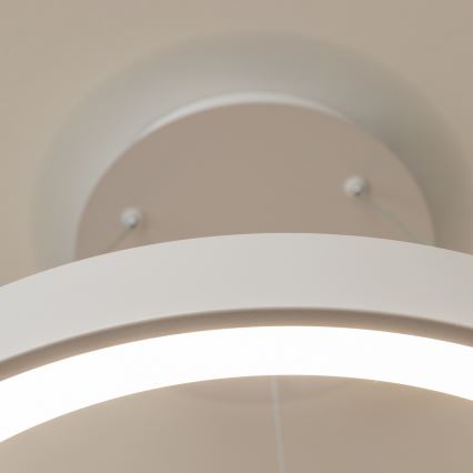 Brilagi - FALCON II LED-dimmbare Pendelleuchte mit Seilabhängung LED/99W/230V 3000-6500K Ø 60 cm weiß + Fernbedienung