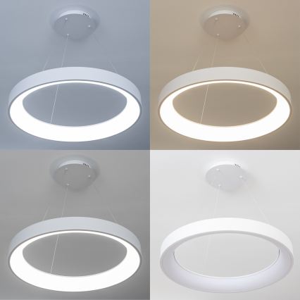 Brilagi - FALCON II LED-dimmbare Pendelleuchte mit Seilabhängung LED/99W/230V 3000-6500K Ø 60 cm weiß + Fernbedienung