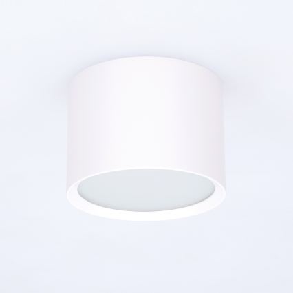 BRILAGI - Faretto da bagno SMOOTH 1xGX53/15W/230V 60x82 mm bianco IP54