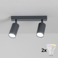 Brilagi - Faretto dimmerabile LED RGBW SELE 2xGU10/6W/230V 3000K antracite + telecomando