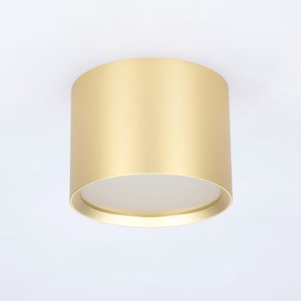 BRILAGI - Faretto LED da bagno SMOOTH 1xGX53/15W/230V 60x82 mm oro IP54