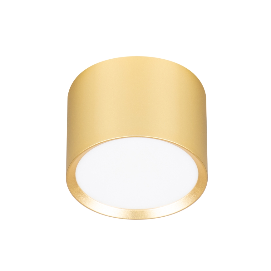 BRILAGI - Faretto dimmerabile LED RGB+CCT SMOOTH 1xGX53/14W/230V 60x82 mm 2700-6500K Wi-Fi Tuya dorato