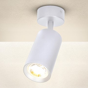 Brilagi - Faretto SELE 1xGU10/30W/230V bianco