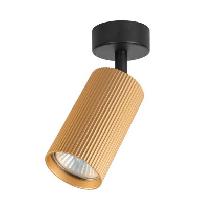 Brilagi - Faretto SELE MODERN 1xGU10/30W/230V dorato