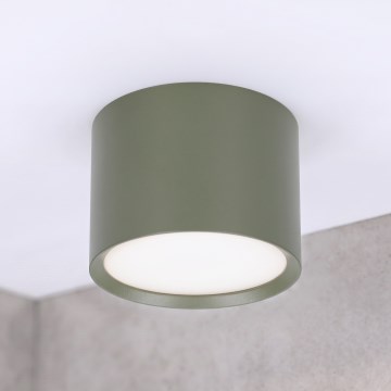 BRILAGI - Faretto SMOOTH 1xGX53/15W/230V 60x82 mm verde scuro