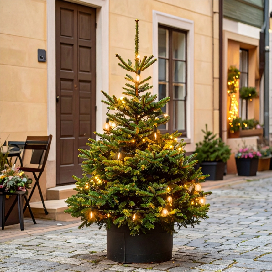 Brilagi - Guirlande LED d'extérieur 10xLED/3xAA 3,2 m IP44 blanc chaud