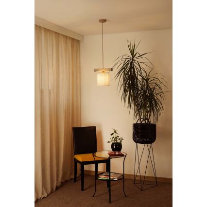 Brilagi - Hängeleuchte FOREST 1xE27/15W/230V Kiefer/braun/cremefarben