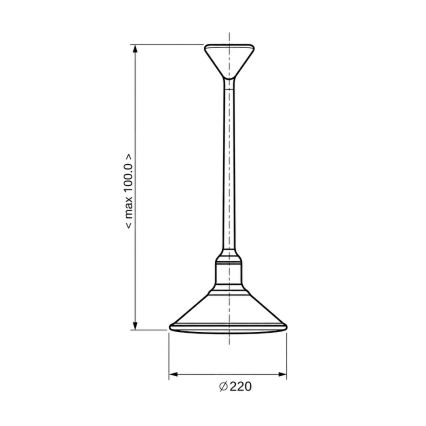 BRILAGI - Lampada a sospensione con cavo FORGE 1xE27/60W/230V Ø 22 cm marrone