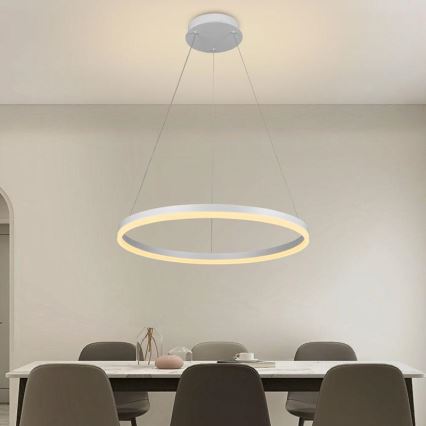 Brilagi - Lampadario a sospensione dimmerabile su cavo CIRCLE LED/42W/230V 3000-6500K Ø 60 cm + telecomando