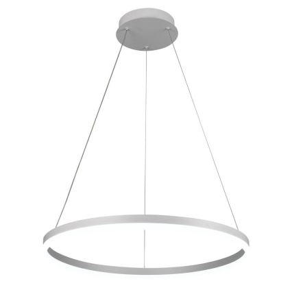 Brilagi - Lampadario a sospensione dimmerabile su cavo CIRCLE LED/42W/230V 3000-6500K Ø 60 cm + telecomando
