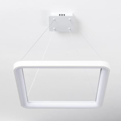 Brilagi - Lampadario LED dimmerabile a cavo FALCON SLIM LED/50W/230V 3000-6500K 50x50 cm bianco + telecomando