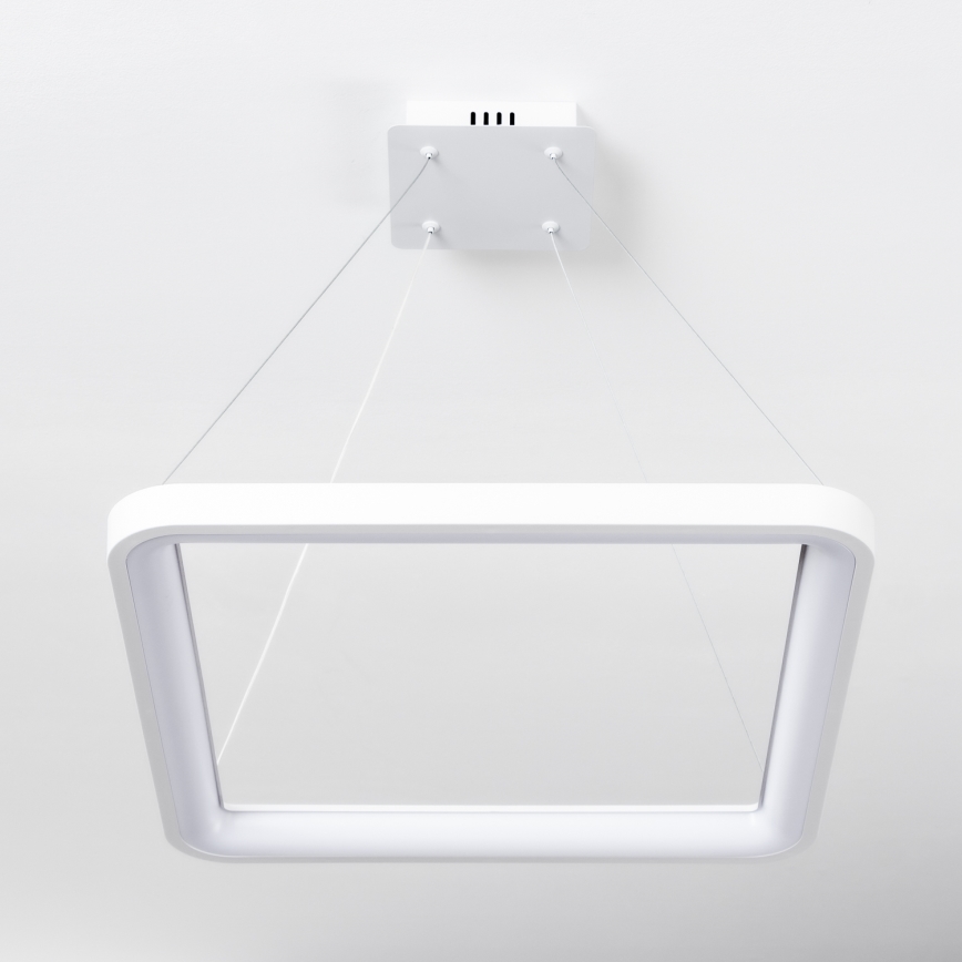 Brilagi - Lampadario LED dimmerabile a cavo FALCON SLIM LED/50W/230V 3000-6500K 50x50 cm bianco + telecomando