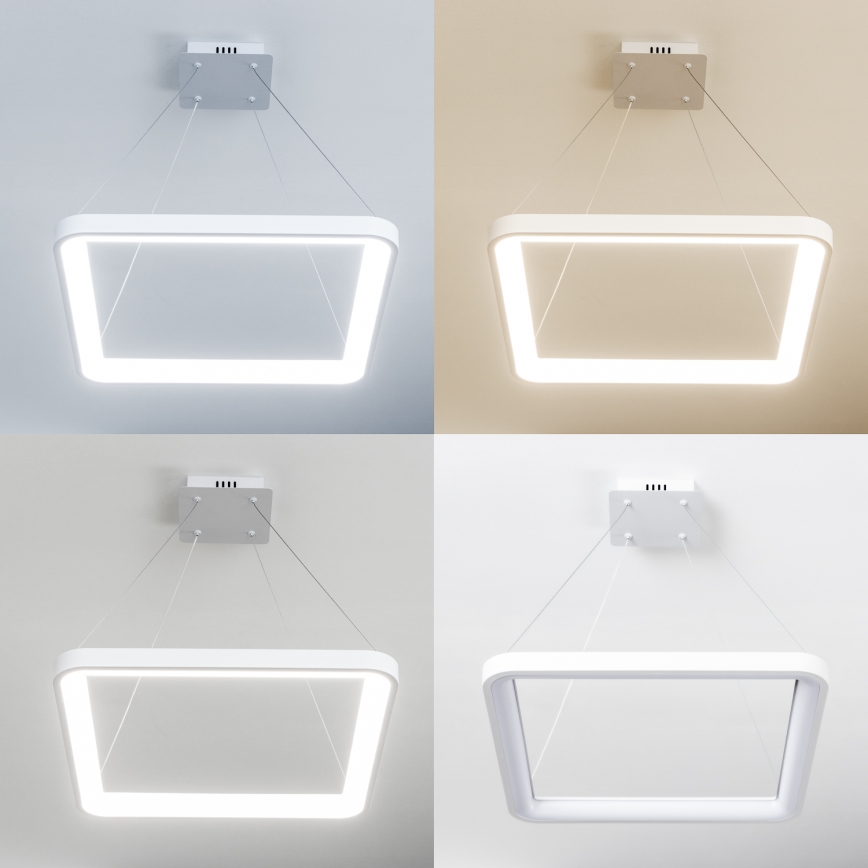 Brilagi - Lampadario LED dimmerabile a cavo FALCON SLIM LED/50W/230V 3000-6500K 50x50 cm bianco + telecomando