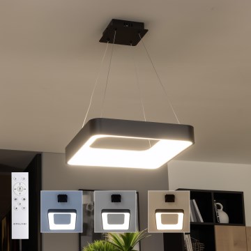 Brilagi - Lampada a sospensione dimmerabile su cavo FALCON II LED/80W/230V 3000-6500K 40x40 cm nera + telecomando