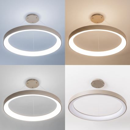 BRILAGI - LED lampadario dimmerabile su cavo FALCON II LED/108W/230V 3000-6500K Ø 80 cm beige + telecomando
