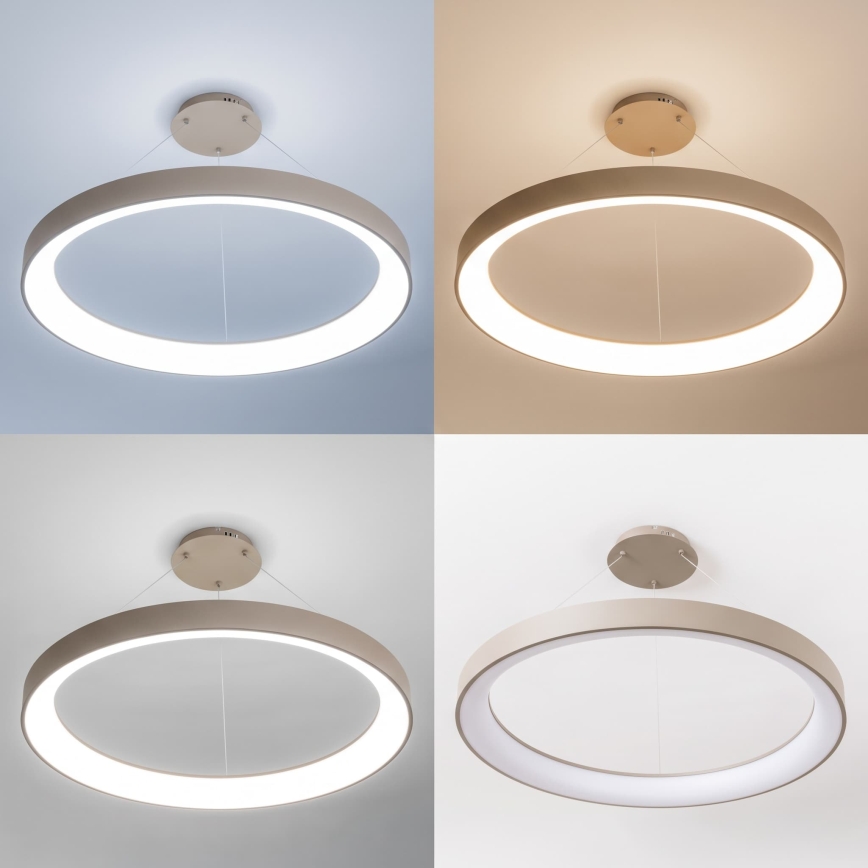 BRILAGI - LED lampadario dimmerabile su cavo FALCON II LED/108W/230V 3000-6500K Ø 80 cm beige + telecomando