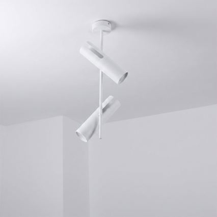 Brilagi - Lampadario LED RGBW dimmerabile su asta BRANCH 2xGU10/6,5W/230V 2700-6500K bianco