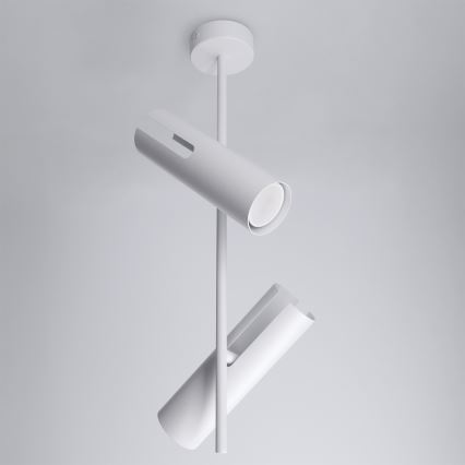 Brilagi - Lampadario LED RGBW dimmerabile su asta BRANCH 2xGU10/6,5W/230V 2700-6500K bianco