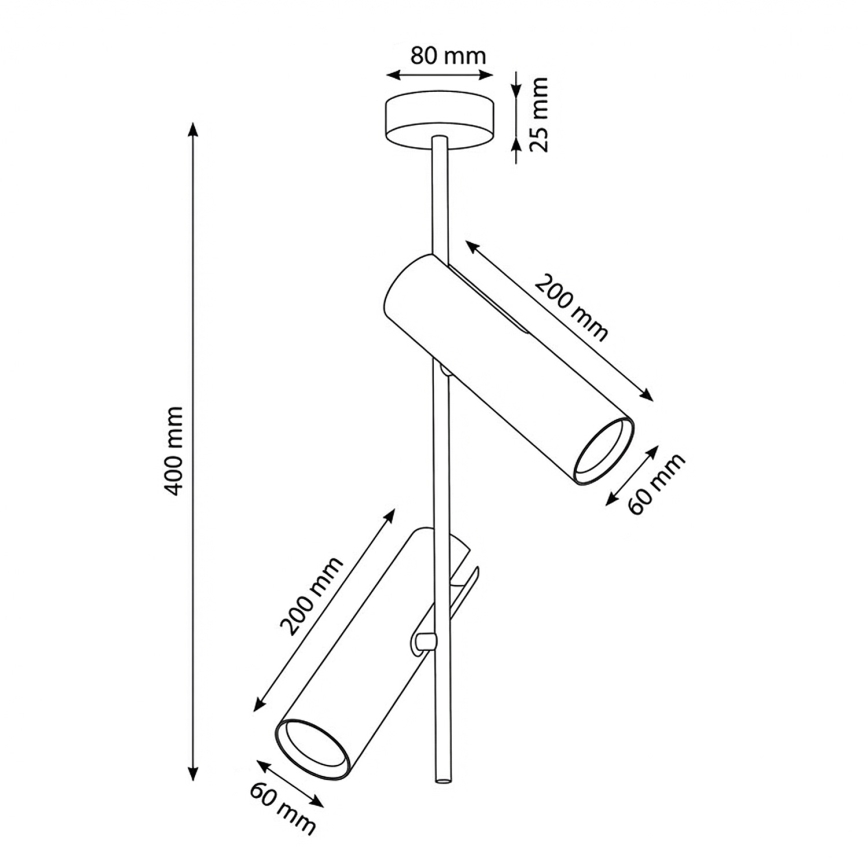 Brilagi - Lampadario LED RGBW dimmerabile su asta BRANCH 2xGU10/6,5W/230V 2700-6500K bianco