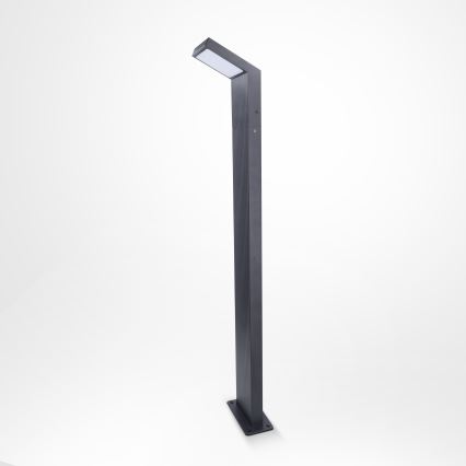 Brilagi - Lampada da esterno LED RIANO LED/8W/230V antracite IP65 80 cm