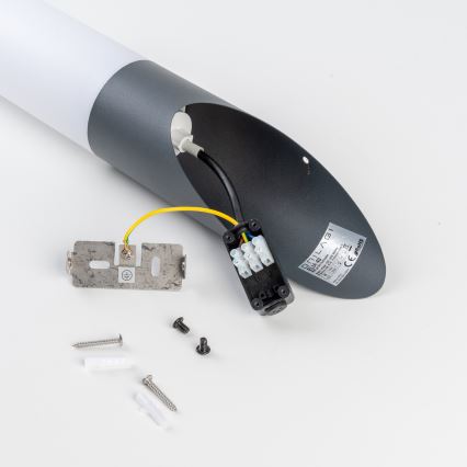 BRILAGI - Lampada da parete LED per esterni ELIA 1xE27/7W/230V 4000K IP44 antracite
