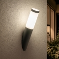BRILAGI - Lampada da parete per esterni ELIA 1xE27/20W/230V IP44 antracite