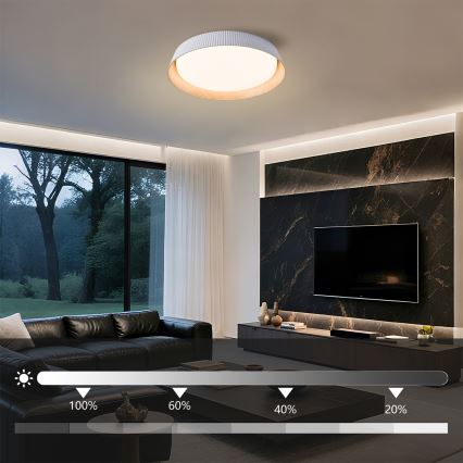 Brilagi - Plafoniera LED dimmerabile ORINO LED/54W/230V 3000-6000K bianco Ø 43 cm + telecomando