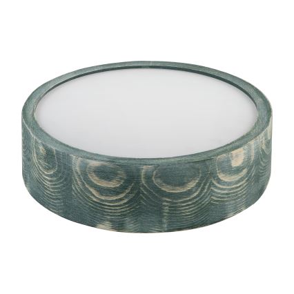 Brilagi - Lampada da soffitto PINO 1xE27/15W/230V pino/verde diam. 27,5 cm
