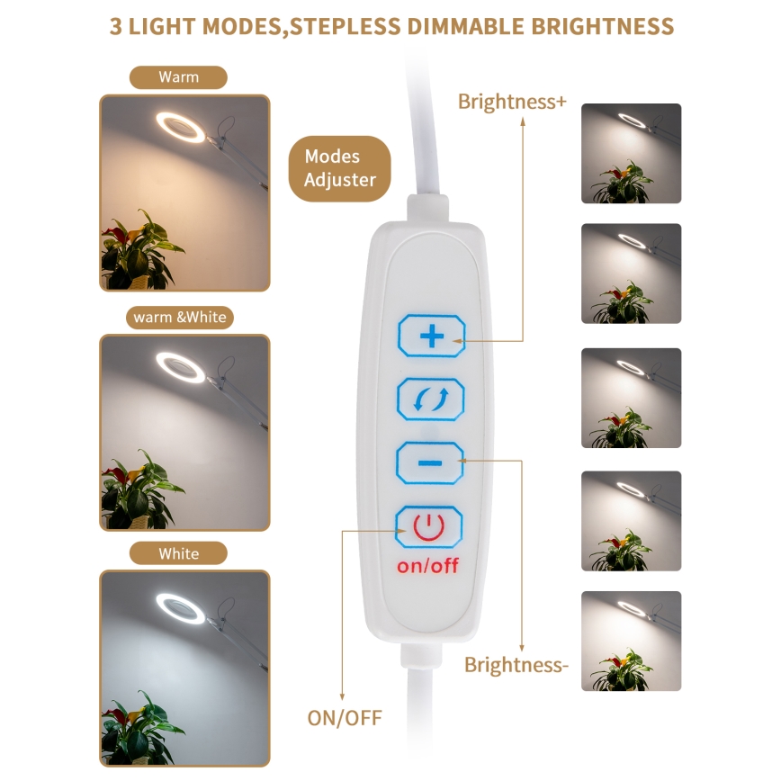 Brilagi - Lampada da tavolo LED dimmerabile con una lente d'ingrandimento LENS LED/12W/5V 3000/4200/6000K bianco