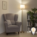 Brilagi - Lampada da terra LED CERIA 1xE27/20W/230V Ø 30 cm beige/oro