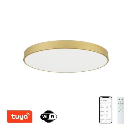 Brilagi - Plafoniera LED dimmerabile POOL SMART LED/100W/230V 3000-6000K 80 cm dorata Wi-Fi Tuya + telecomando