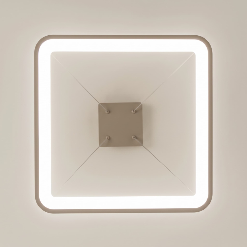 BRILAGI - LED Lampadario dimmerabile a cavo FALCON SLIM LED/50W/230V 3000-6500K 50x50 cm beige + telecomando