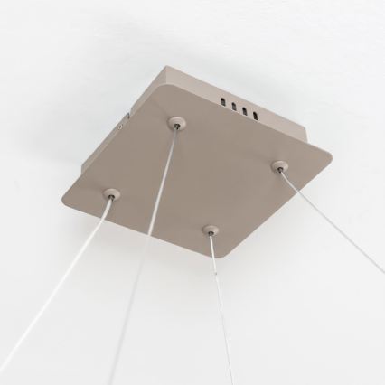 BRILAGI - LED Lampadario dimmerabile a cavo FALCON SLIM LED/50W/230V 3000-6500K 50x50 cm beige + telecomando