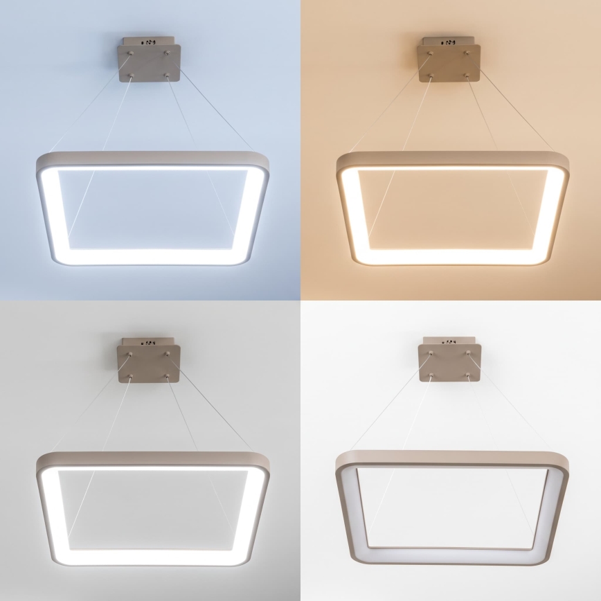 BRILAGI - LED Lampadario dimmerabile a cavo FALCON SLIM LED/50W/230V 3000-6500K 50x50 cm beige + telecomando