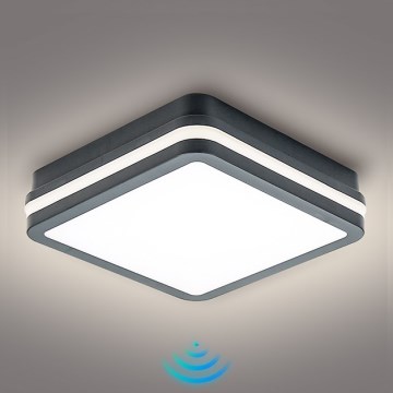 Brilagi - Lampada LED da esterno con sensore BENE LED/18W/230V 22x22 cm IP54