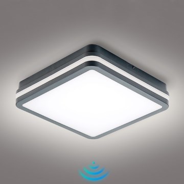 Brilagi - Lampada LED da esterno con sensore BENE LED/24W/230V 26x26 cm IP54 antracite