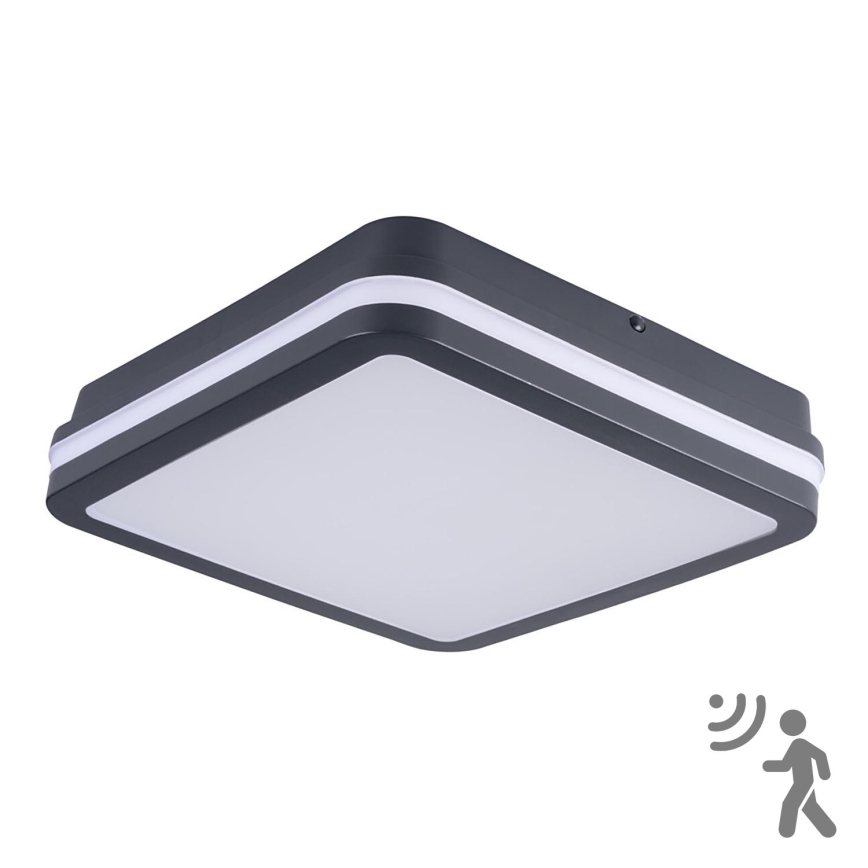 Brilagi - LED Luce da esterno con sensore di movimento BENE LED/24W/230V 26x26 cm antracite IP54