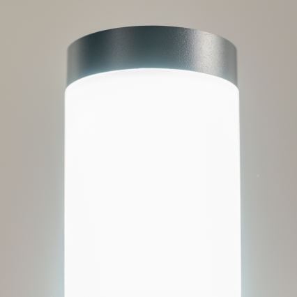 BRILAGI - Lampada LED da esterno ELIA 1xE27/7W/230V 4000K IP44 100 cm antracite