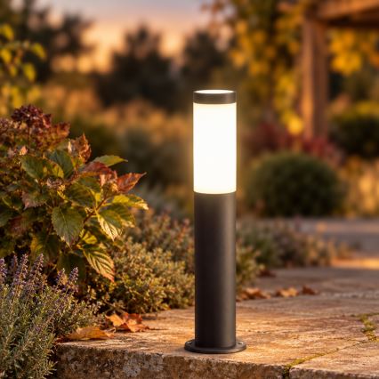 BRILAGI - Lampada LED da esterno ELIA 1xE27/7W/230V 4000K IP44 50 cm antracite