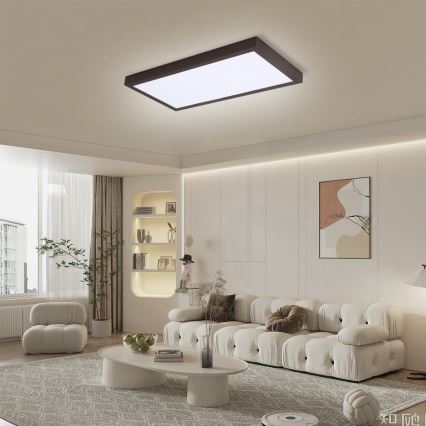 Brilagi - Lampada da soffitto LED dimmerabile per bagno FRAME SMART LED/30W/230V 30x60 cm 3000-6000K IP44 nera + telecomando