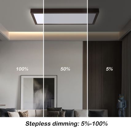 Brilagi - Lampada da soffitto LED dimmerabile per bagno FRAME SMART LED/30W/230V 30x60 cm 3000-6000K IP44 nera + telecomando