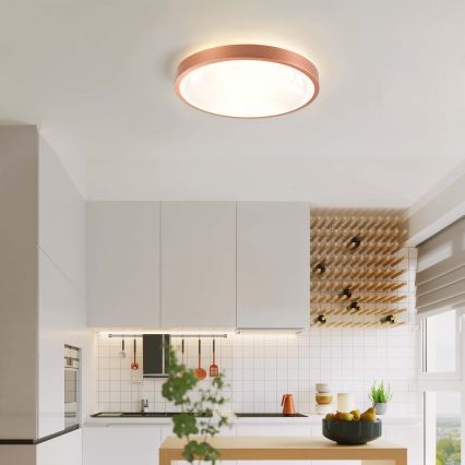 BRILAGI - LED Plafoniera dimmerabile GLASS POOL DOUBLE LED/48W/230V Ø 40 cm rame + telecomando