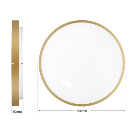 Brilagi - Plafoniera LED dimmerabile GLASS POOL DOUBLE LED/80W/230V 3000-6000K 60 cm dorata + telecomando