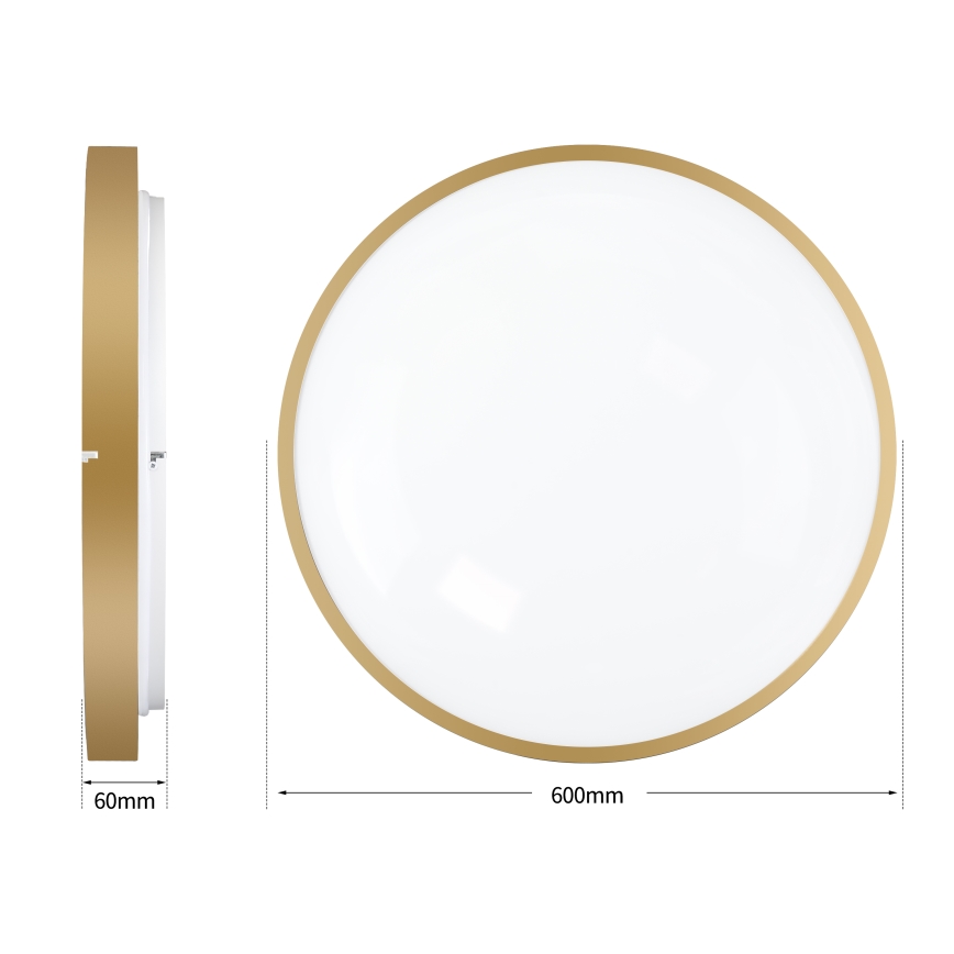 Brilagi - Plafoniera LED dimmerabile GLASS POOL DOUBLE LED/80W/230V 3000-6000K 60 cm dorata + telecomando