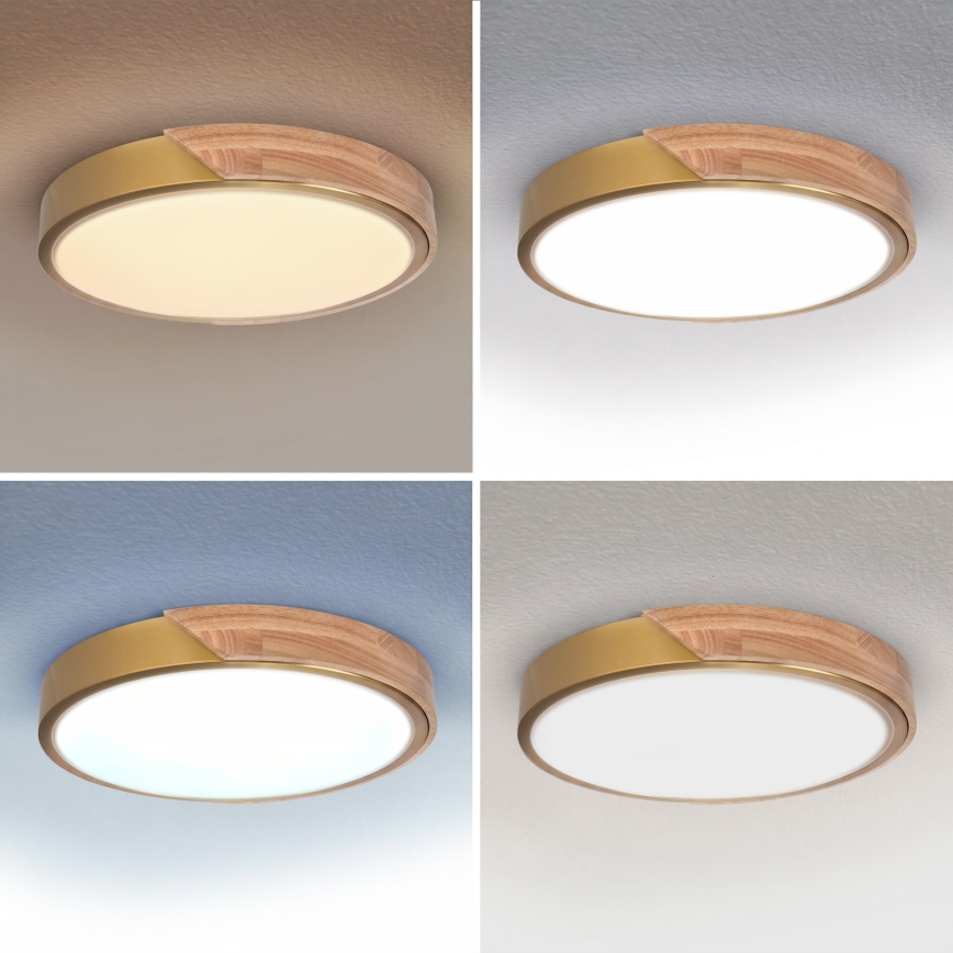 BRILAGI - Plafoniera dimmerabile LED PILANA LED/48W/230V 3000-6500K rovere/dorato Ø 40 cm + telecomando