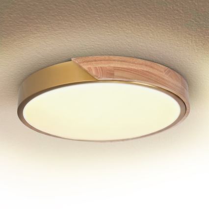 BRILAGI - Plafoniera dimmerabile LED PILANA LED/48W/230V 3000-6500K rovere/dorato Ø 40 cm + telecomando