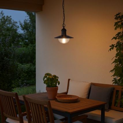 Brilagi - Lampada sospesa per esterni MOLDE 1xE27/60W IP44 nera