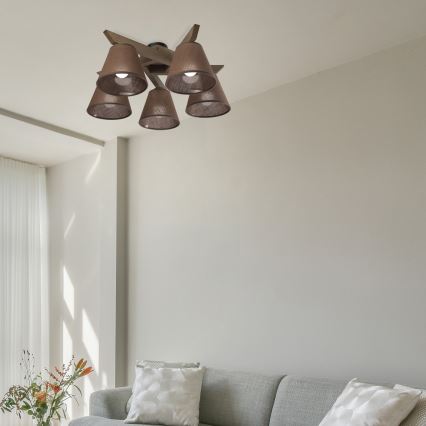 Brilagi - Lampadario a plafone ANTHONY 5xE14/40W/230V quercia/marrone