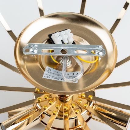 Brilagi - Lampadario a plafone CRYSTAL 6xE14/60W/230V oro